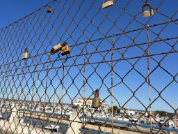 202-10-01-2026 IMG_3399